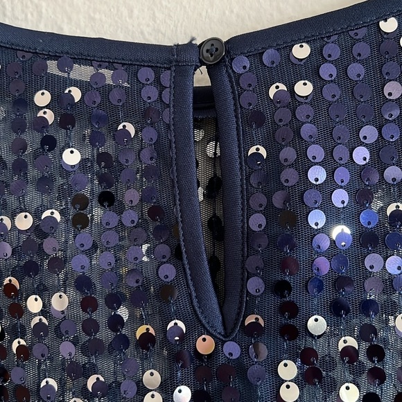 Sheer Navy Blue Whimsagoth Fairy Dress W/ Silver Sequins All Over Size Small - Picture 4 of 6